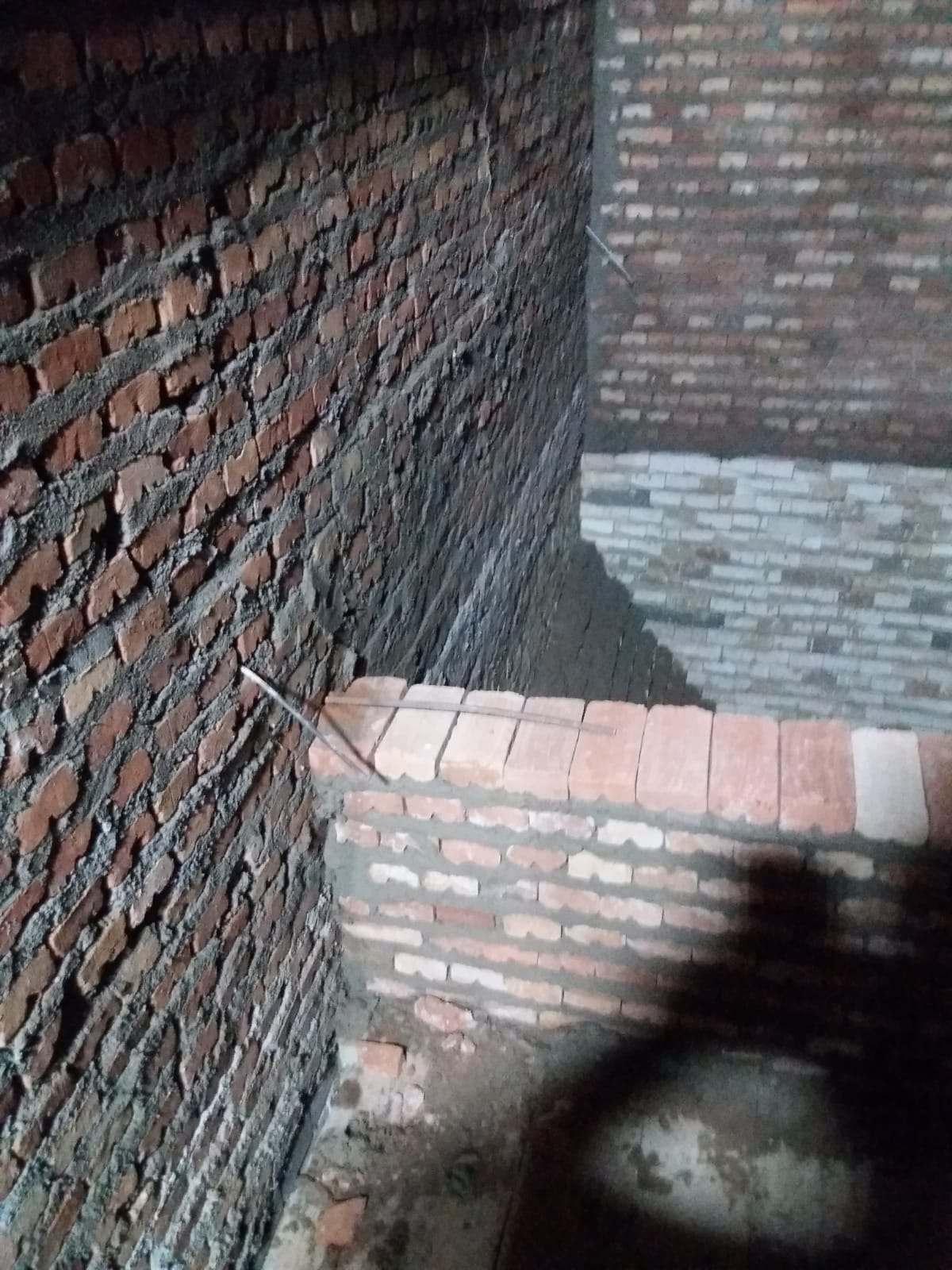 imagem_2022-06-02_145616216